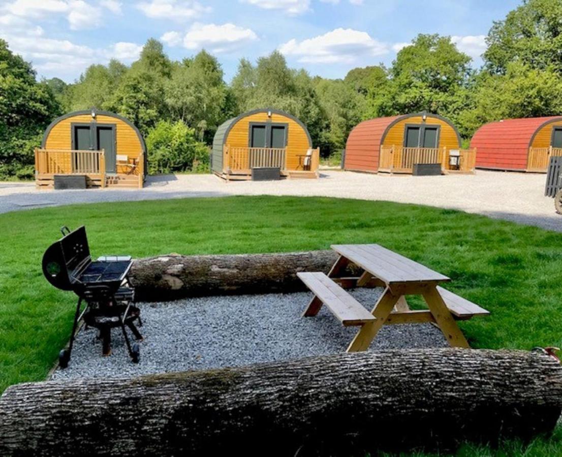 Earth Pod 2 Pet Friendly Villa Neath Eksteriør bilde